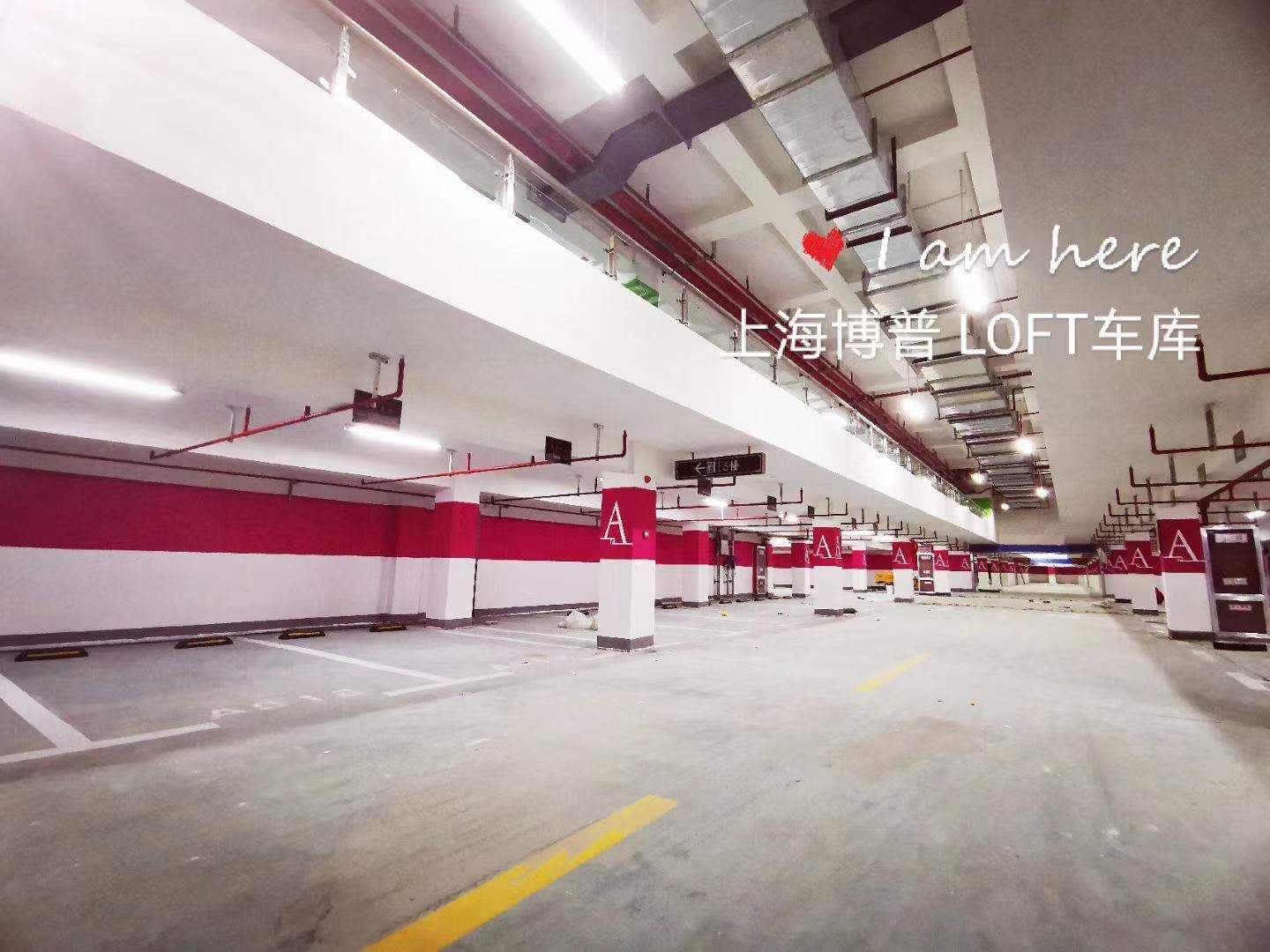 迪庆已交竣的绿城豪华LOFT专利车库效果惊艳！